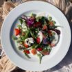 farebny salat